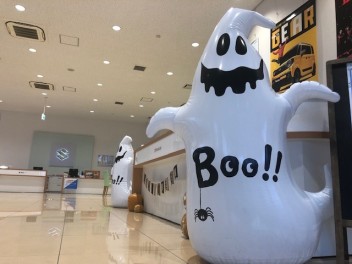 秋の大商談会！！